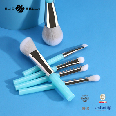 सौंदर्य देखभाल के लिए 6pcs OEM मेकअप नेत्र ब्रश, क्रूरता मुक्त सिंथेटिक बाल मेकअप ब्रश किट